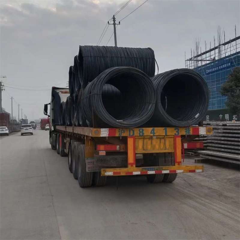 扶沟县丽江市物流运输：多元服务与高效线路探秘